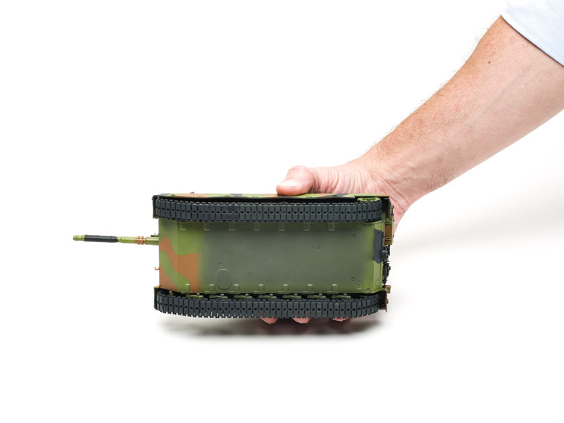 FSMWB1115Meng_Leopard1_05