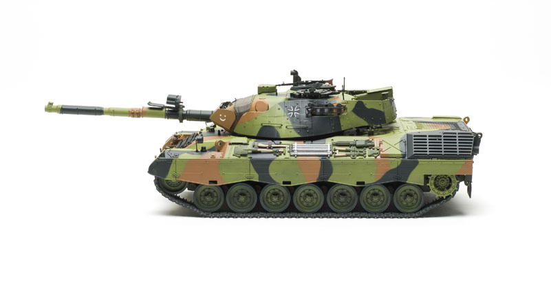 FSMWB1115Meng_Leopard1_06