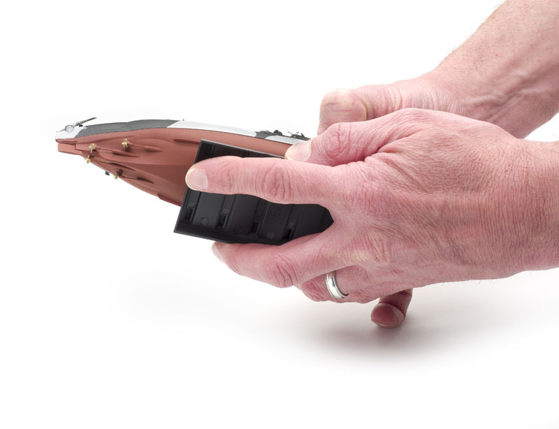 FSMWB0516_Trumpeter_Tennessee_09