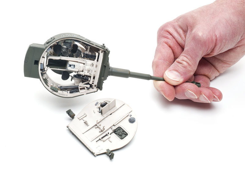 FSMWB0716_RFM_Tiger_09