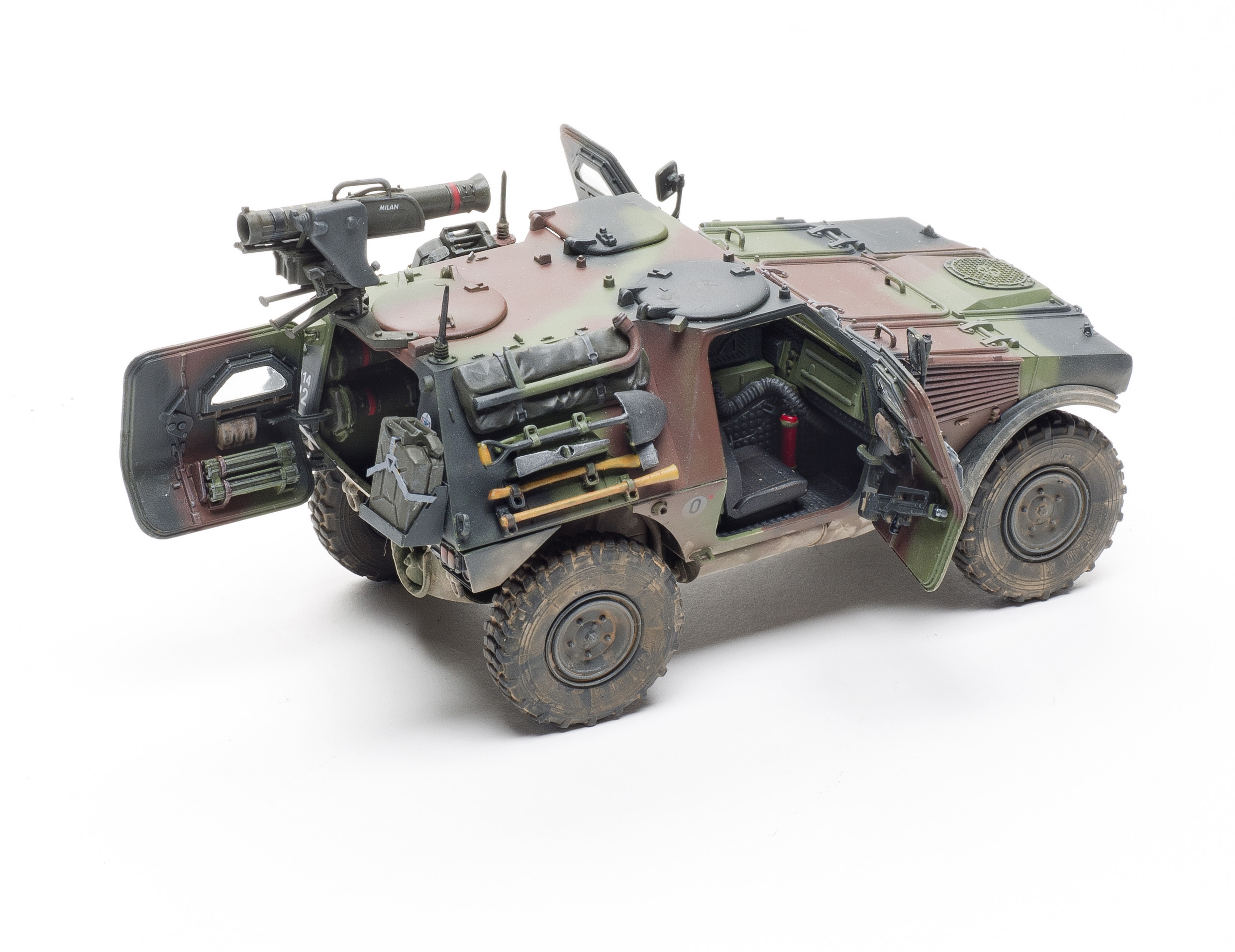 FSMWB0517_Tiger_VBL_05