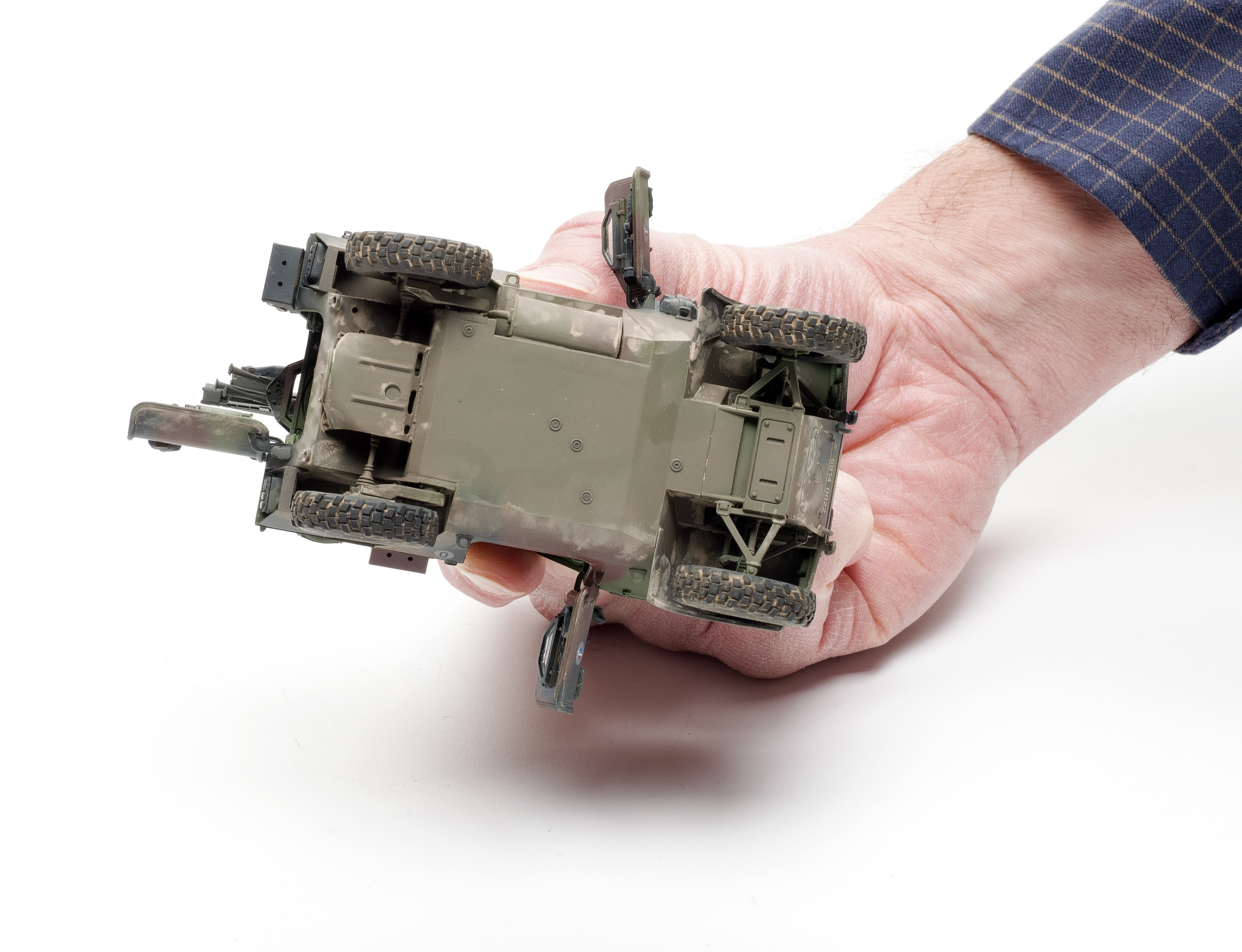 FSMWB0517_Tiger_VBL_06