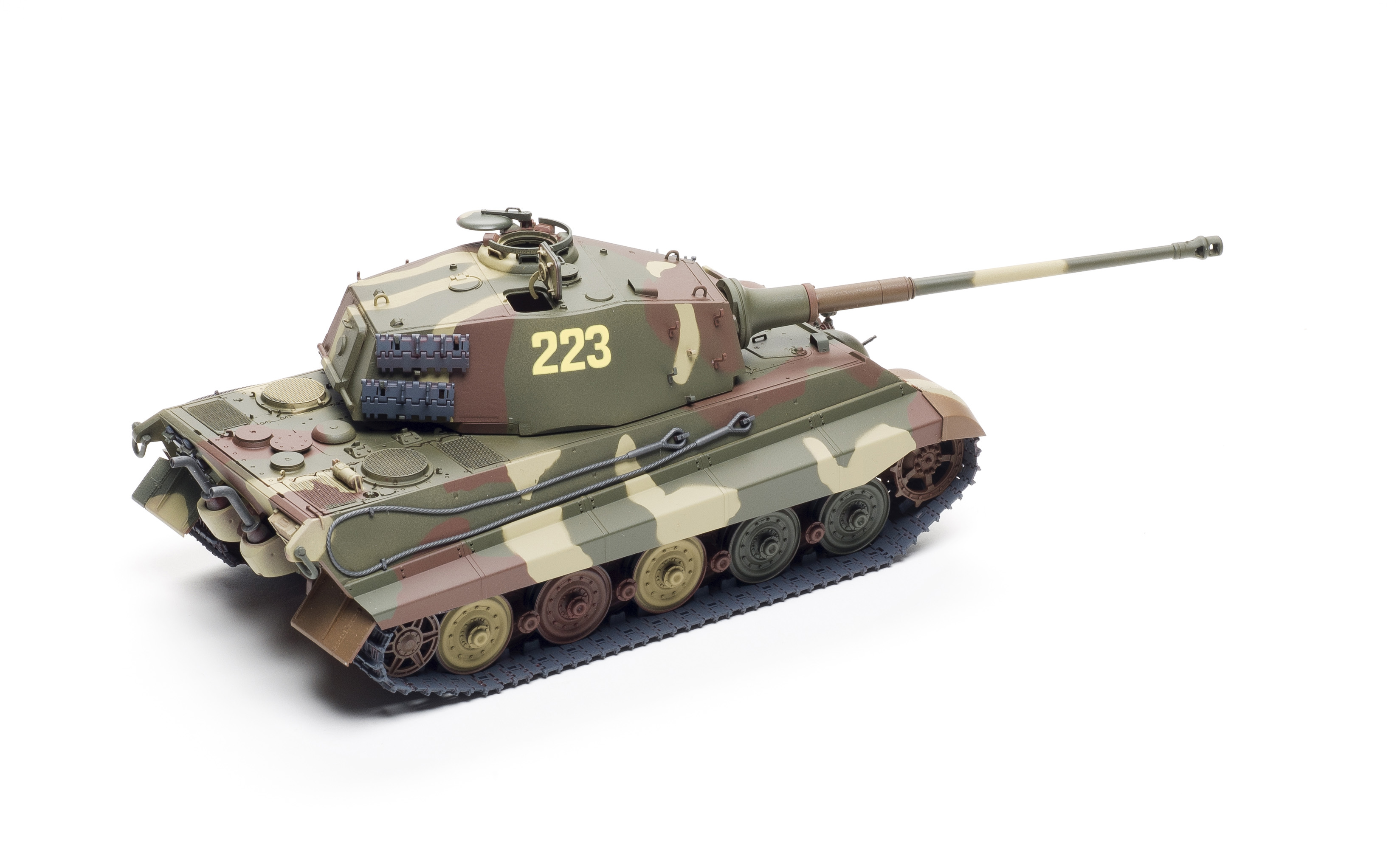 FSMWB0218_Meng_KingTiger_02