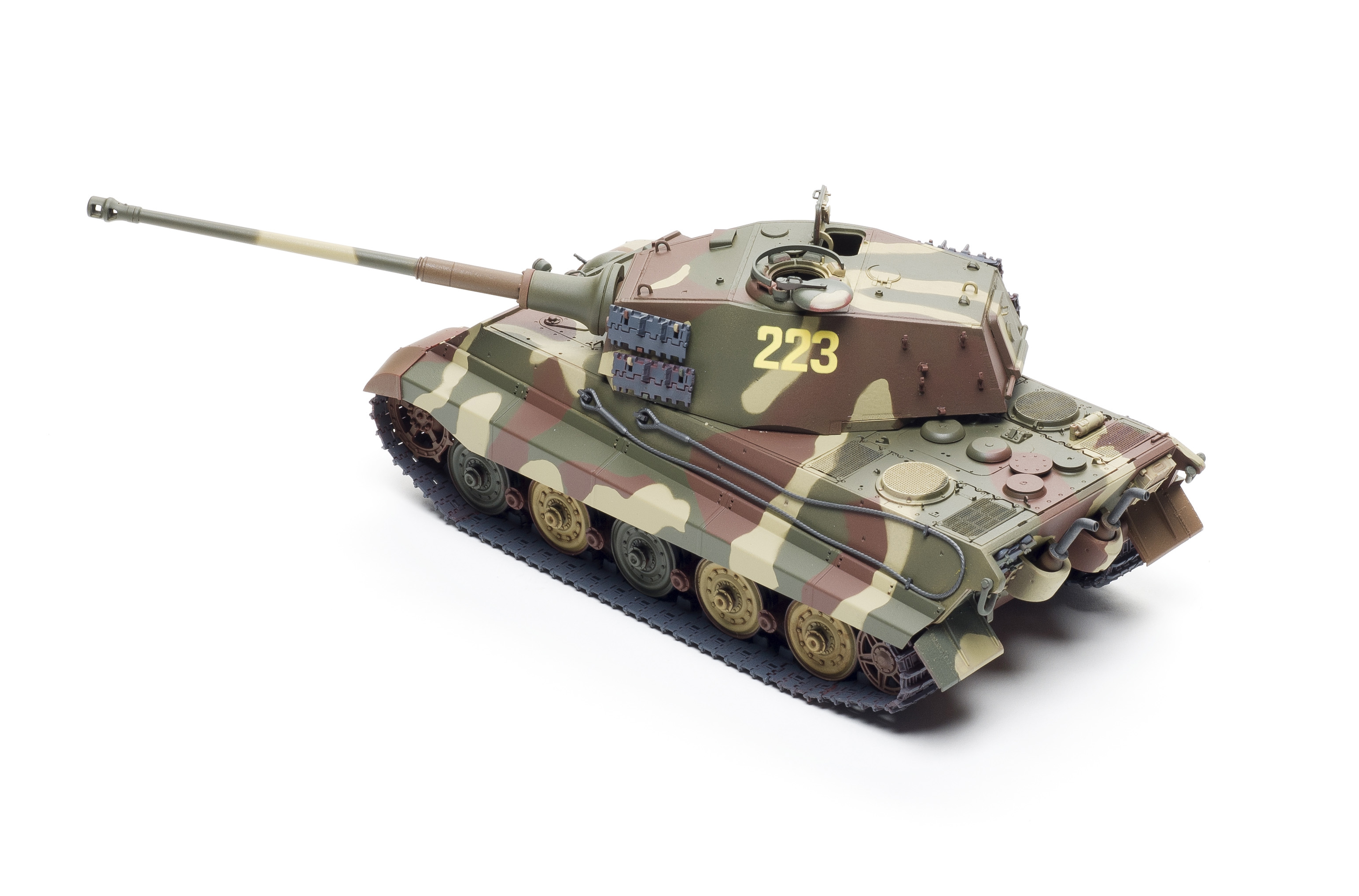 FSMWB0218_Meng_KingTiger_04