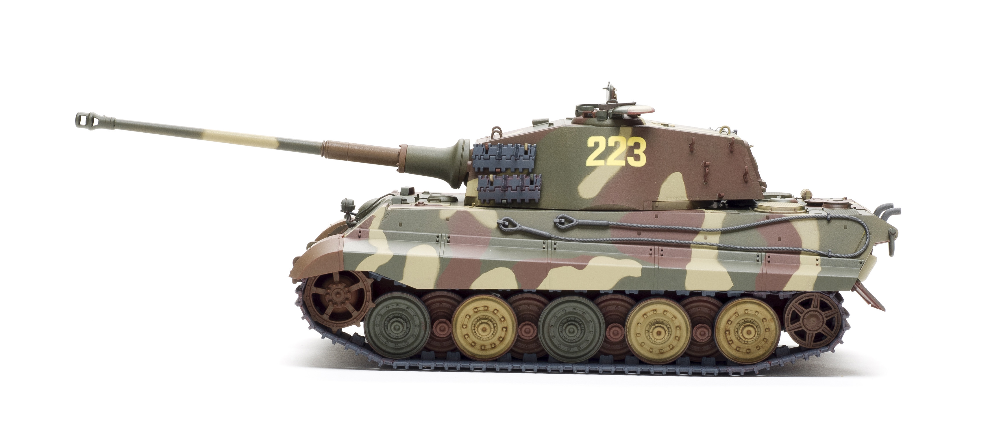 FSMWB0218_Meng_KingTiger_05