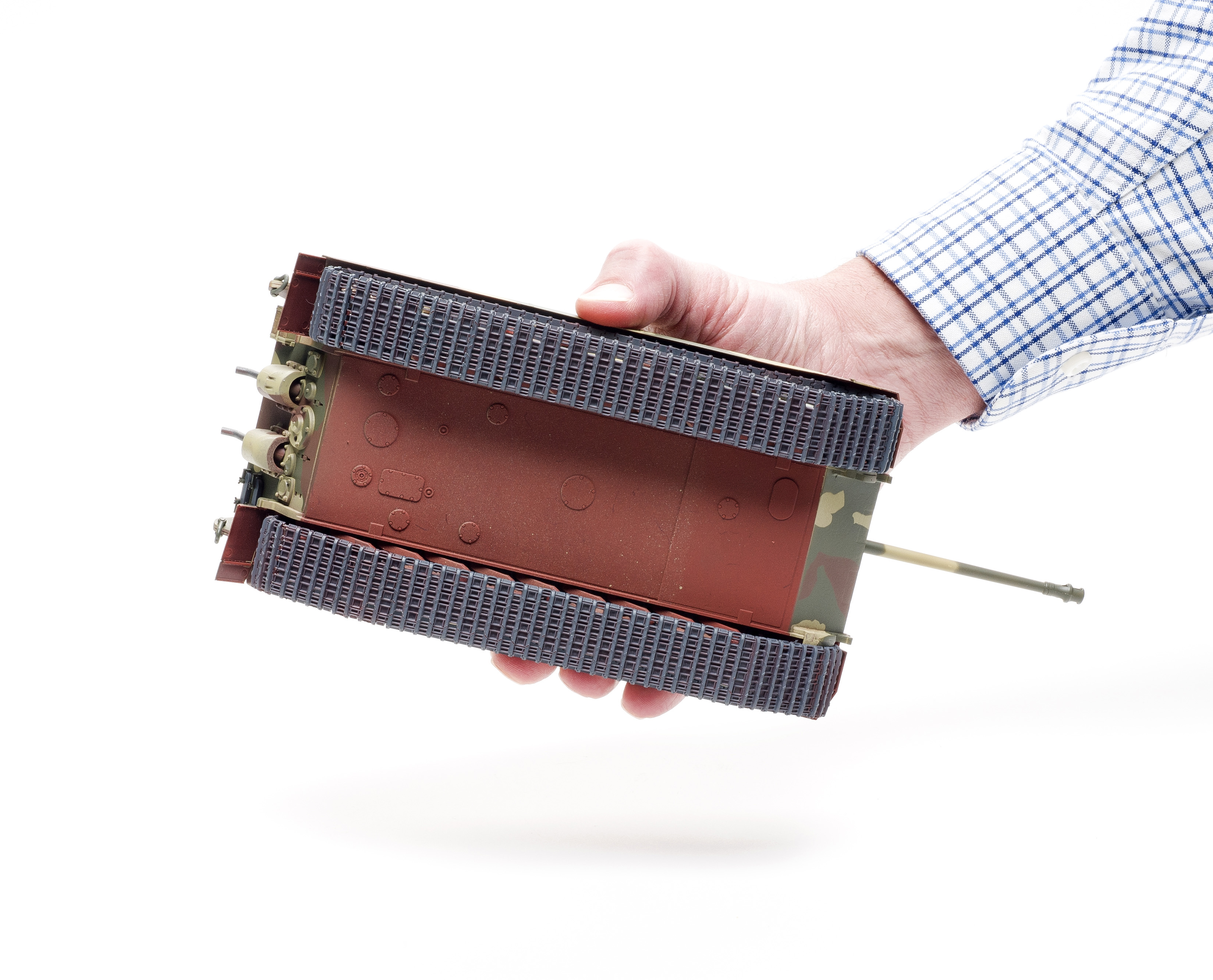 FSMWB0218_Meng_KingTiger_06