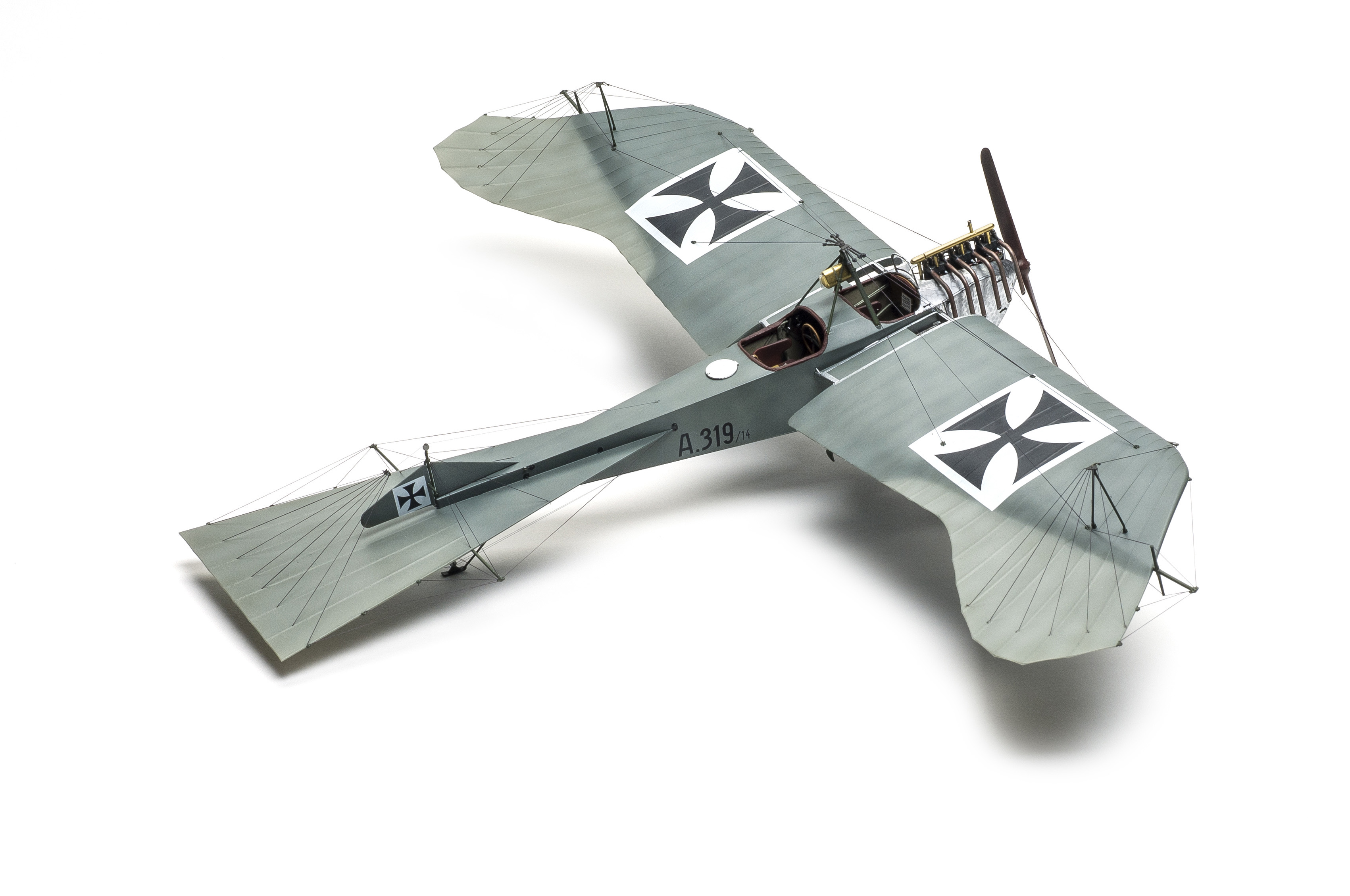 FSMWB0518_Wingnut_Stahltaube_03