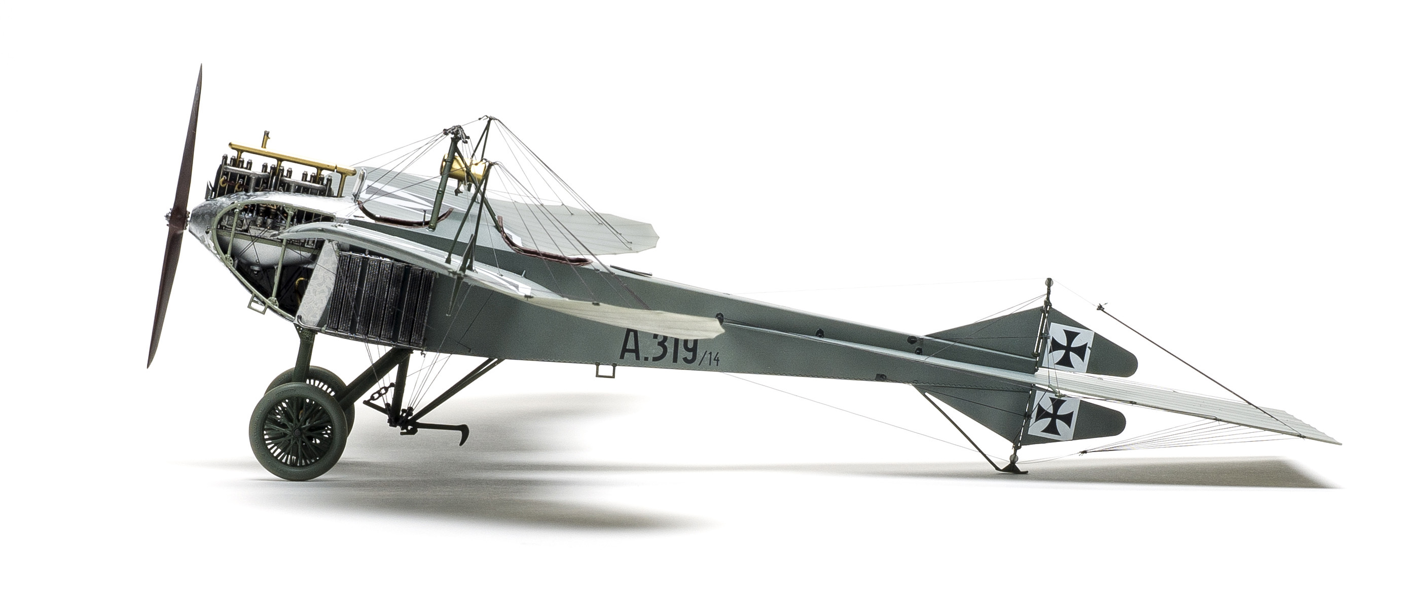 FSMWB0518_Wingnut_Stahltaube_06