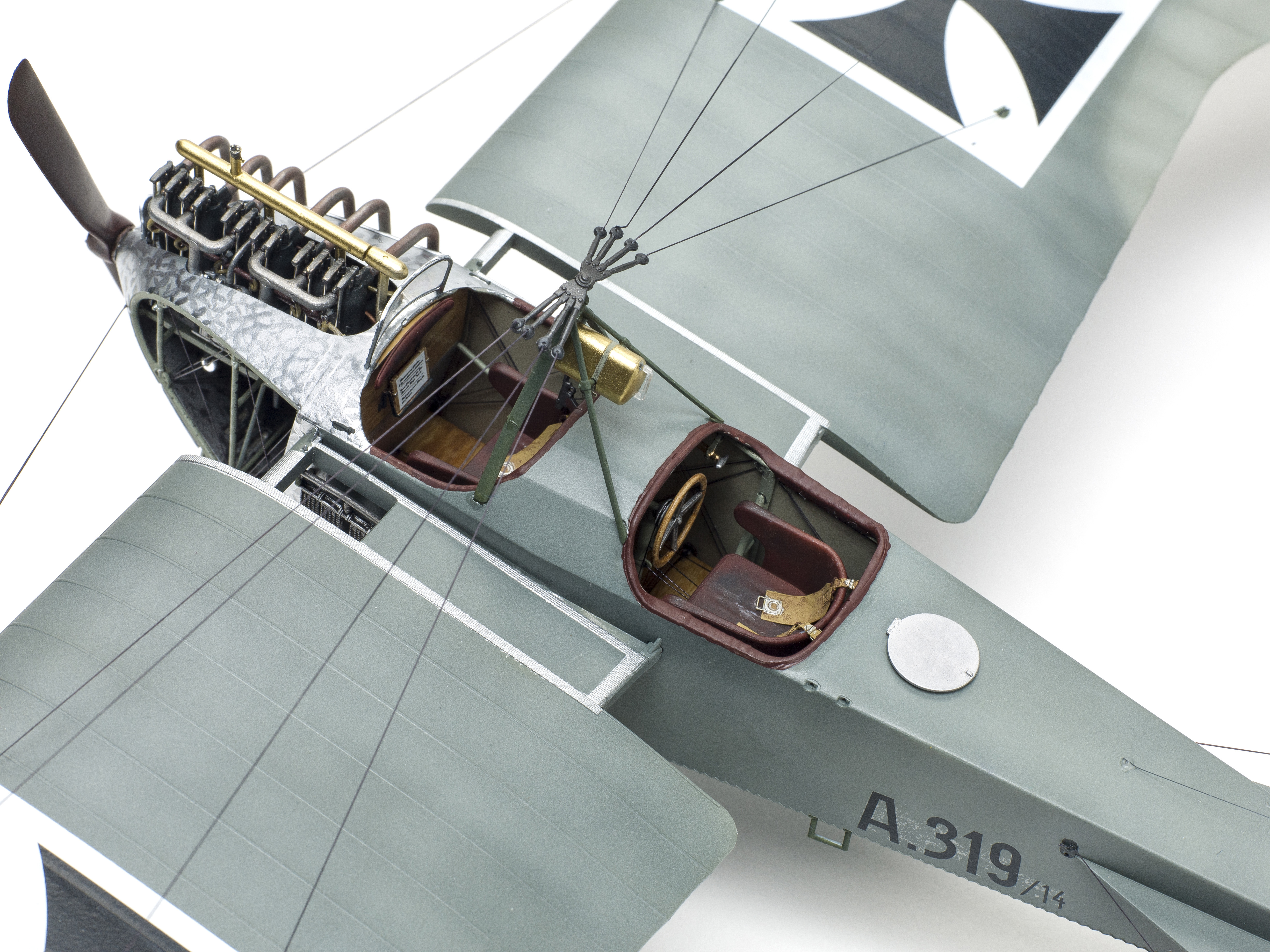 FSMWB0518_Wingnut_Stahltaube_07