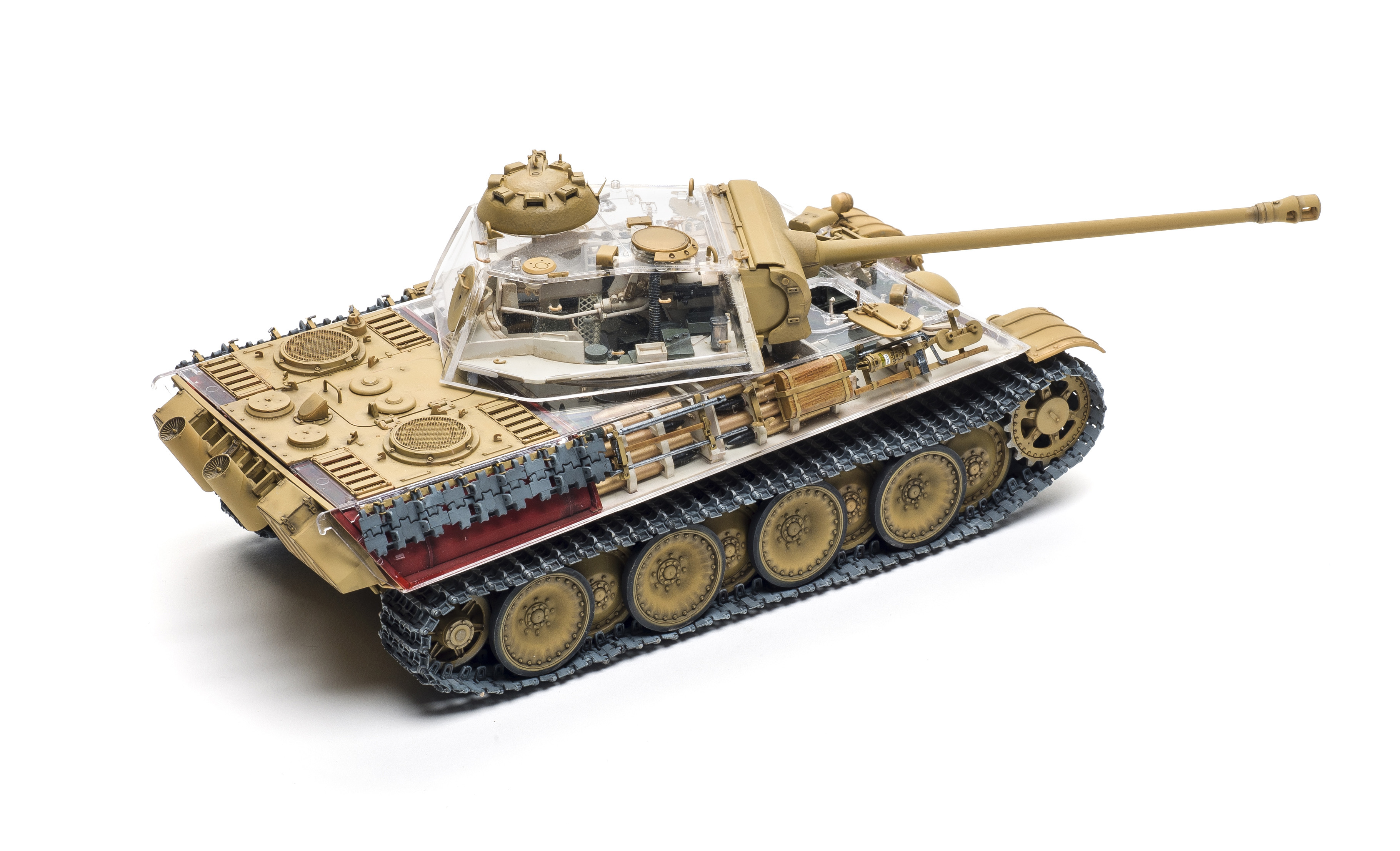 FSMWB1018_RyeField_Panther_03