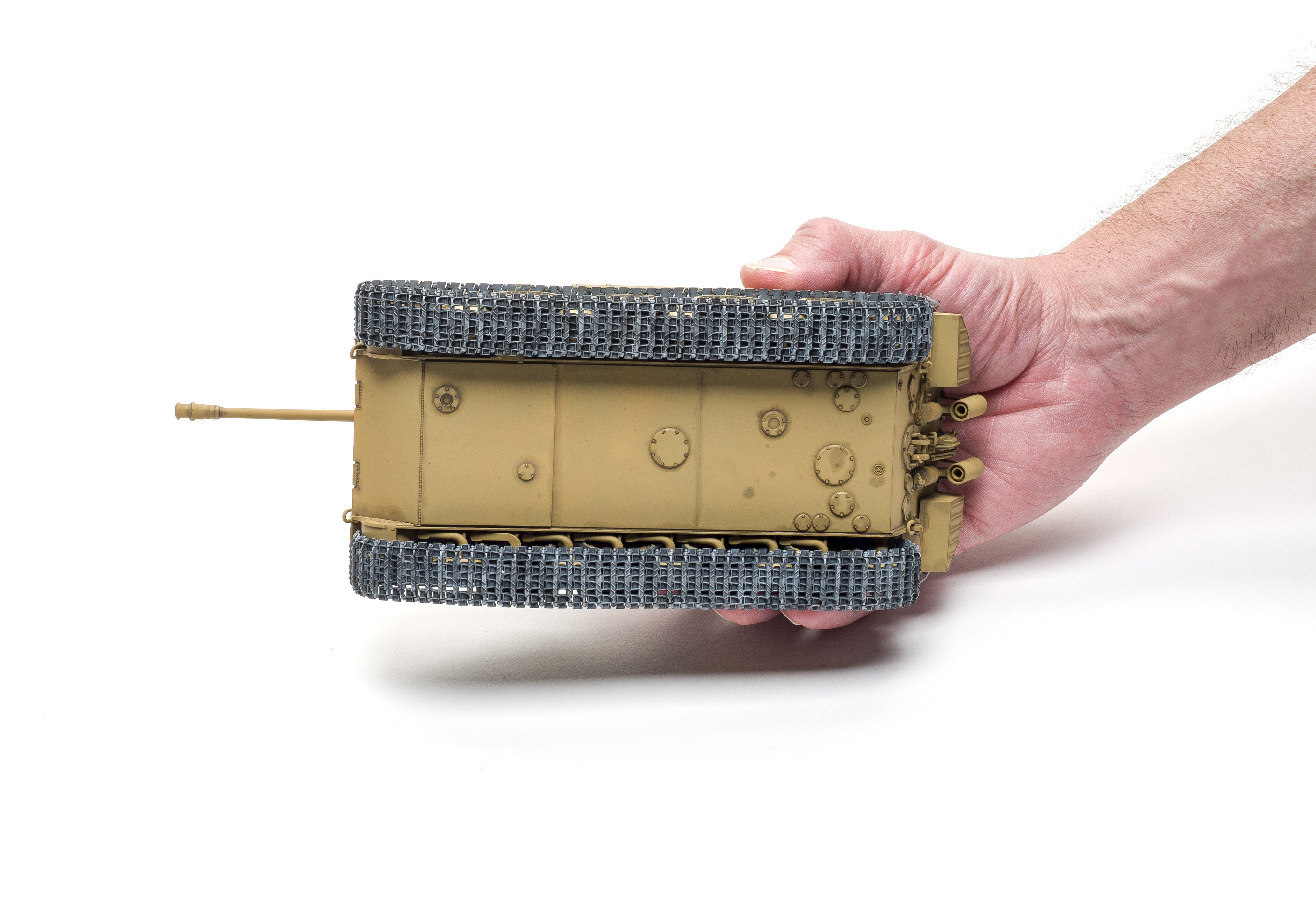 FSMWB1018_RyeField_Panther_09