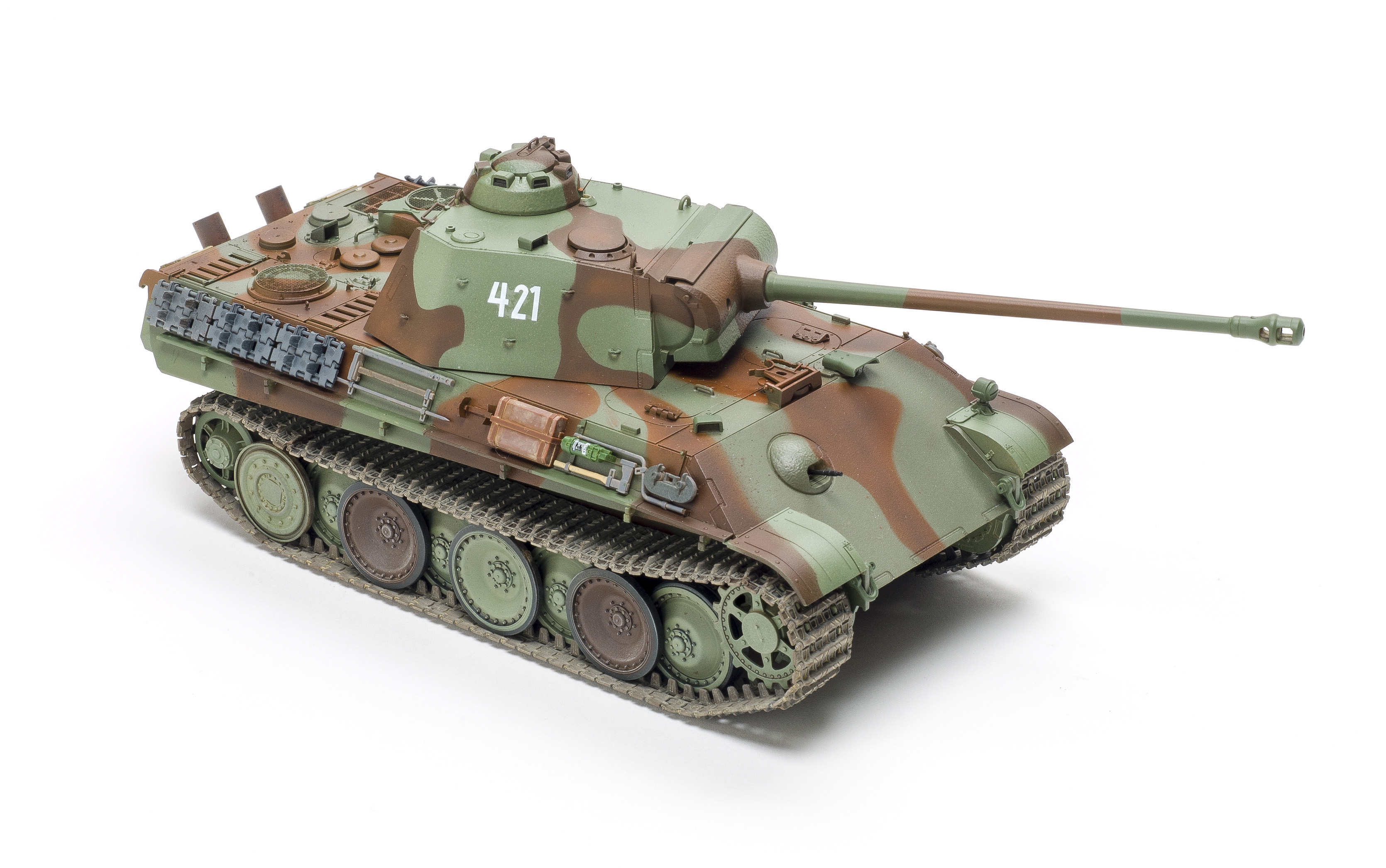 FSMWB0519_Academy_Panther_02