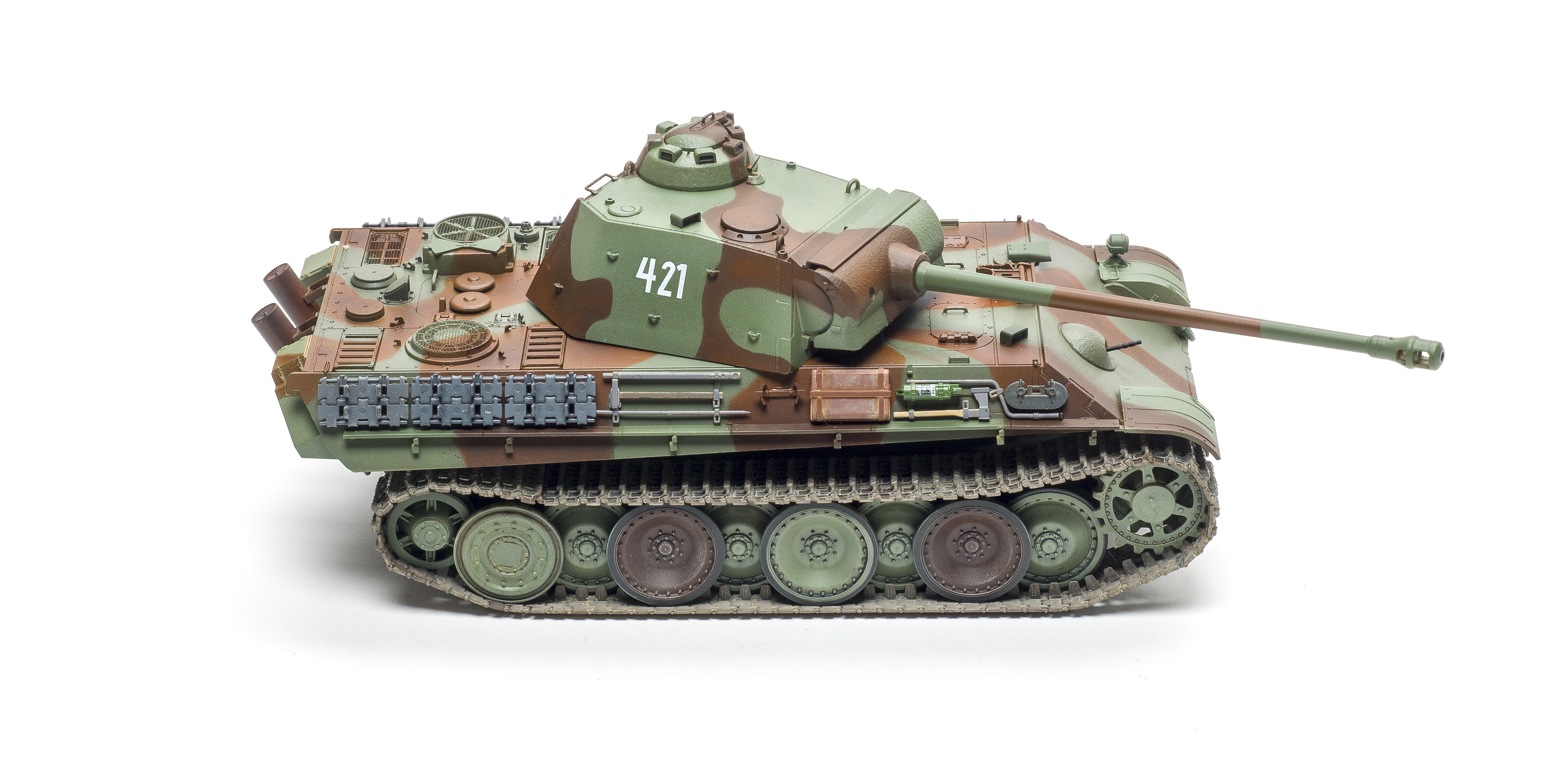 FSMWB0519_Academy_Panther_03