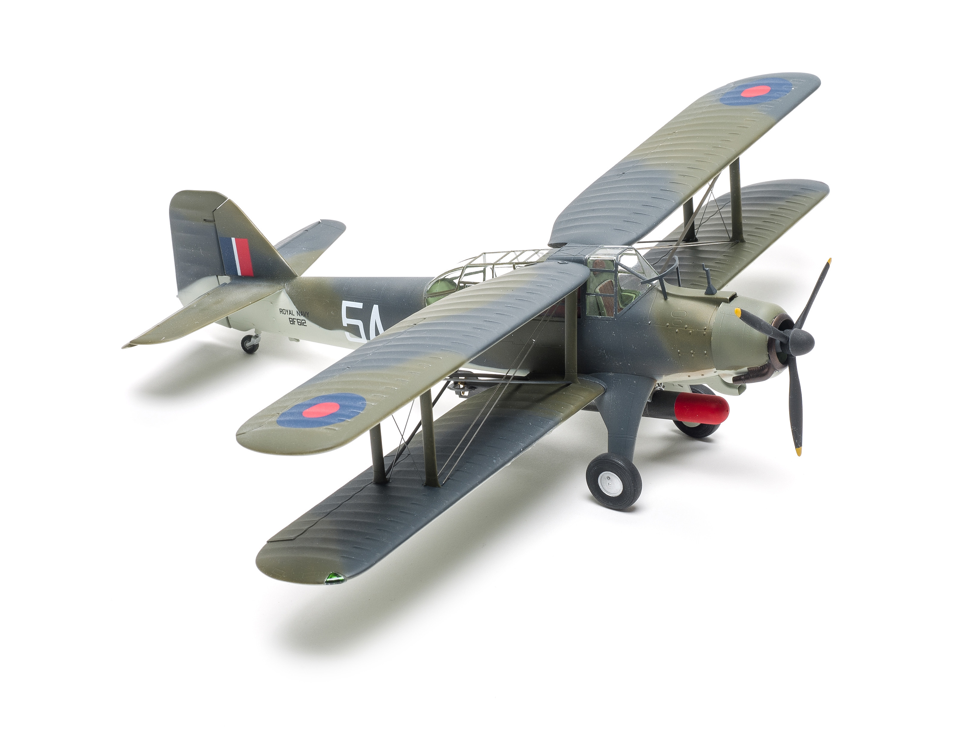 FSMWB0519_Trumpeter_Albacore_02