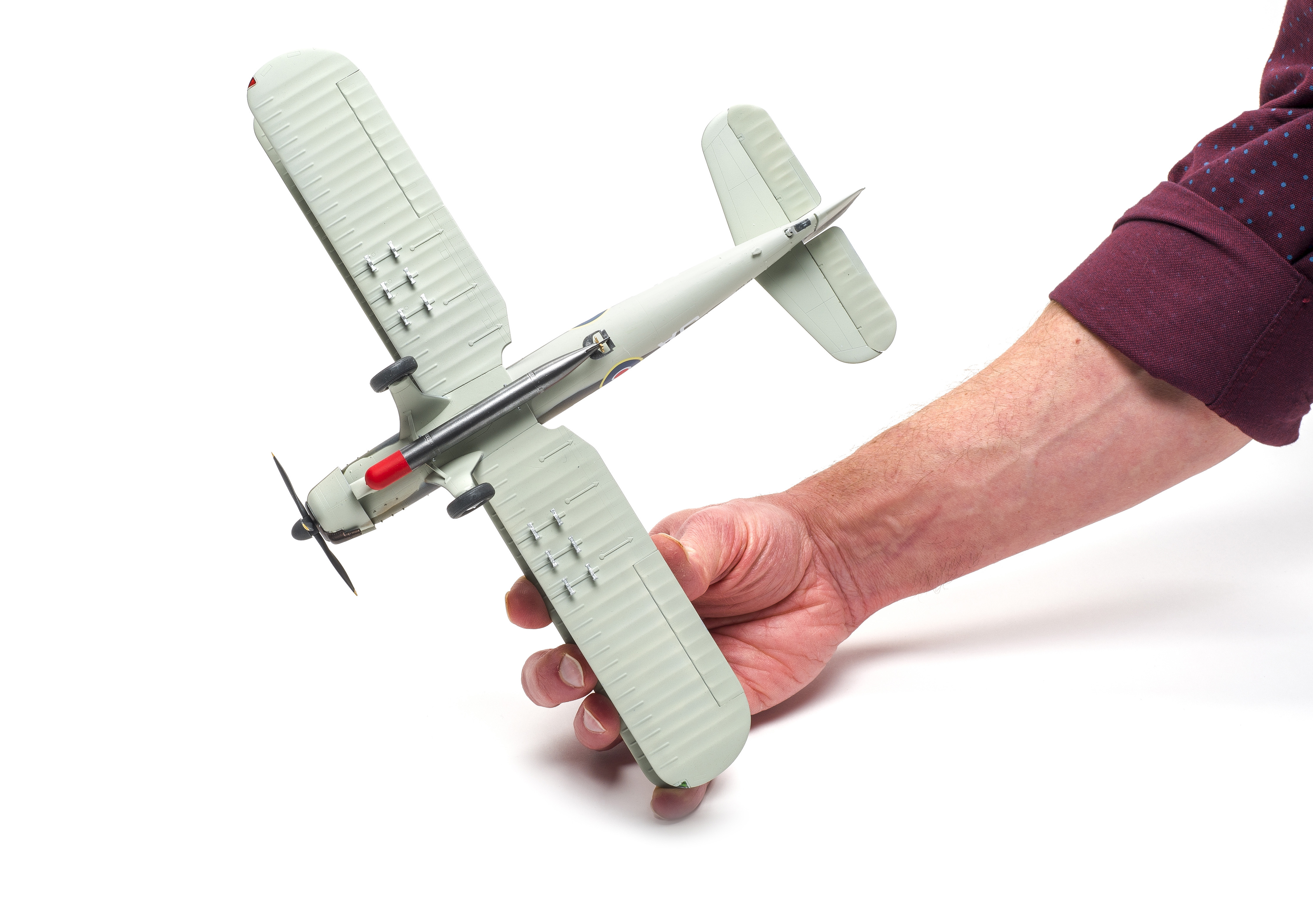 FSMWB0519_Trumpeter_Albacore_05