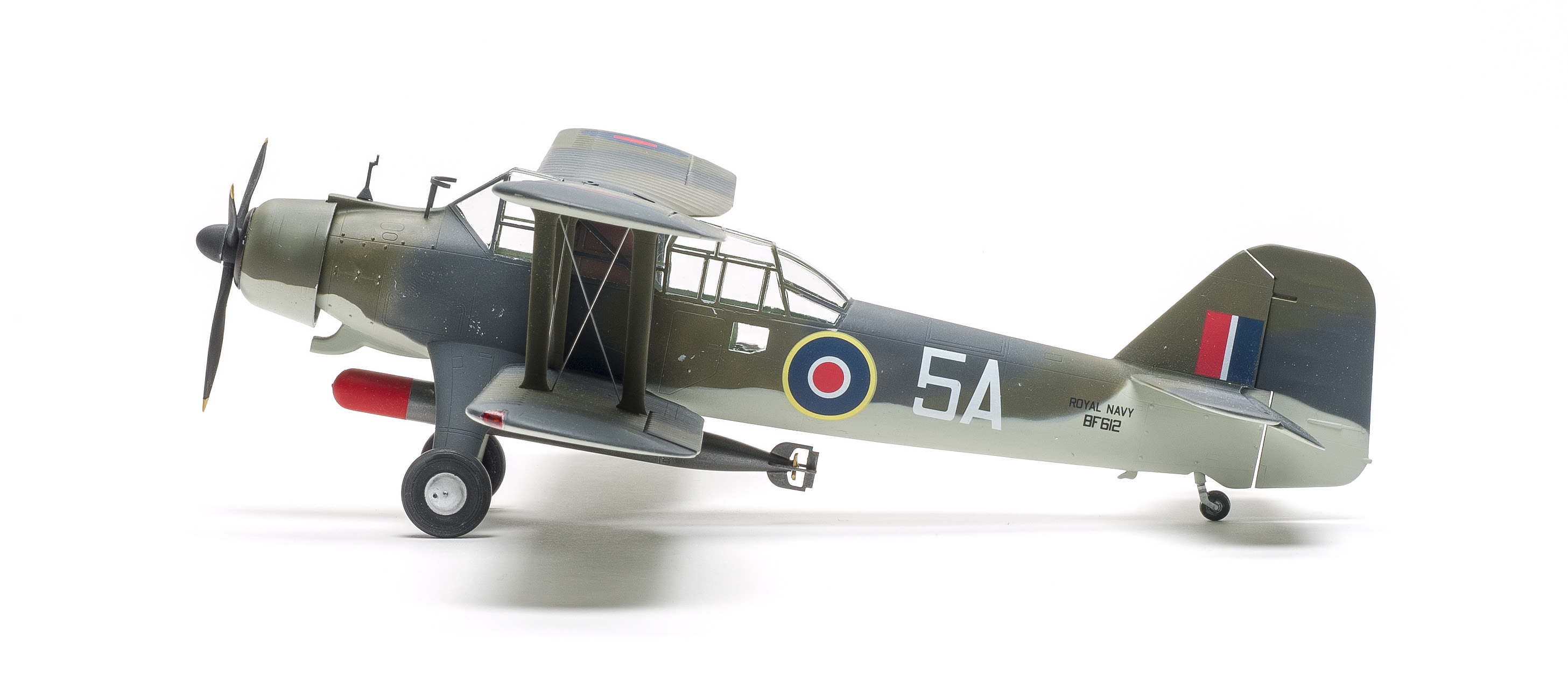 FSMWB0519_Trumpeter_Albacore_06