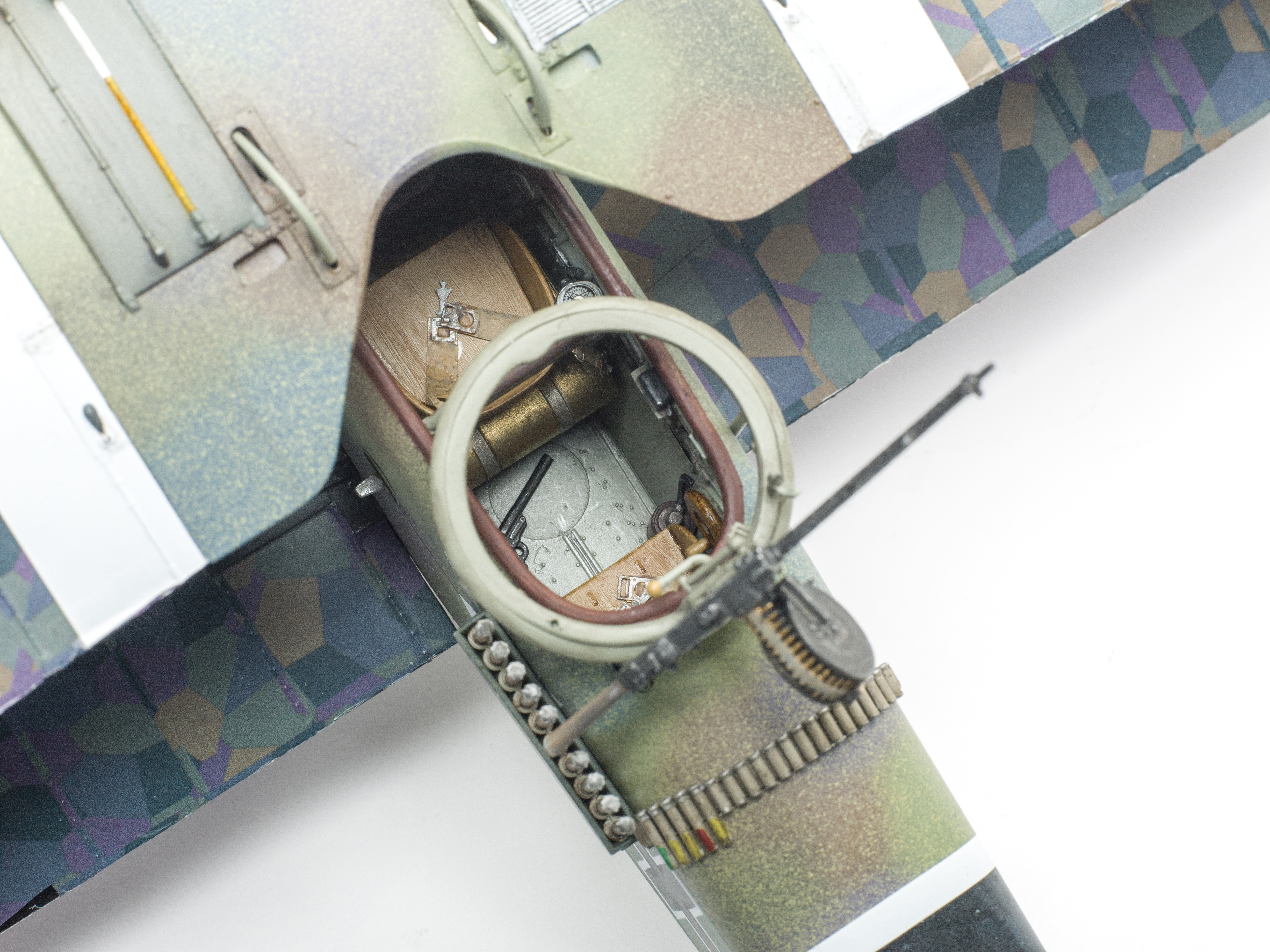 FSMWB0919_Wingnut_Halberstadt_CII_07