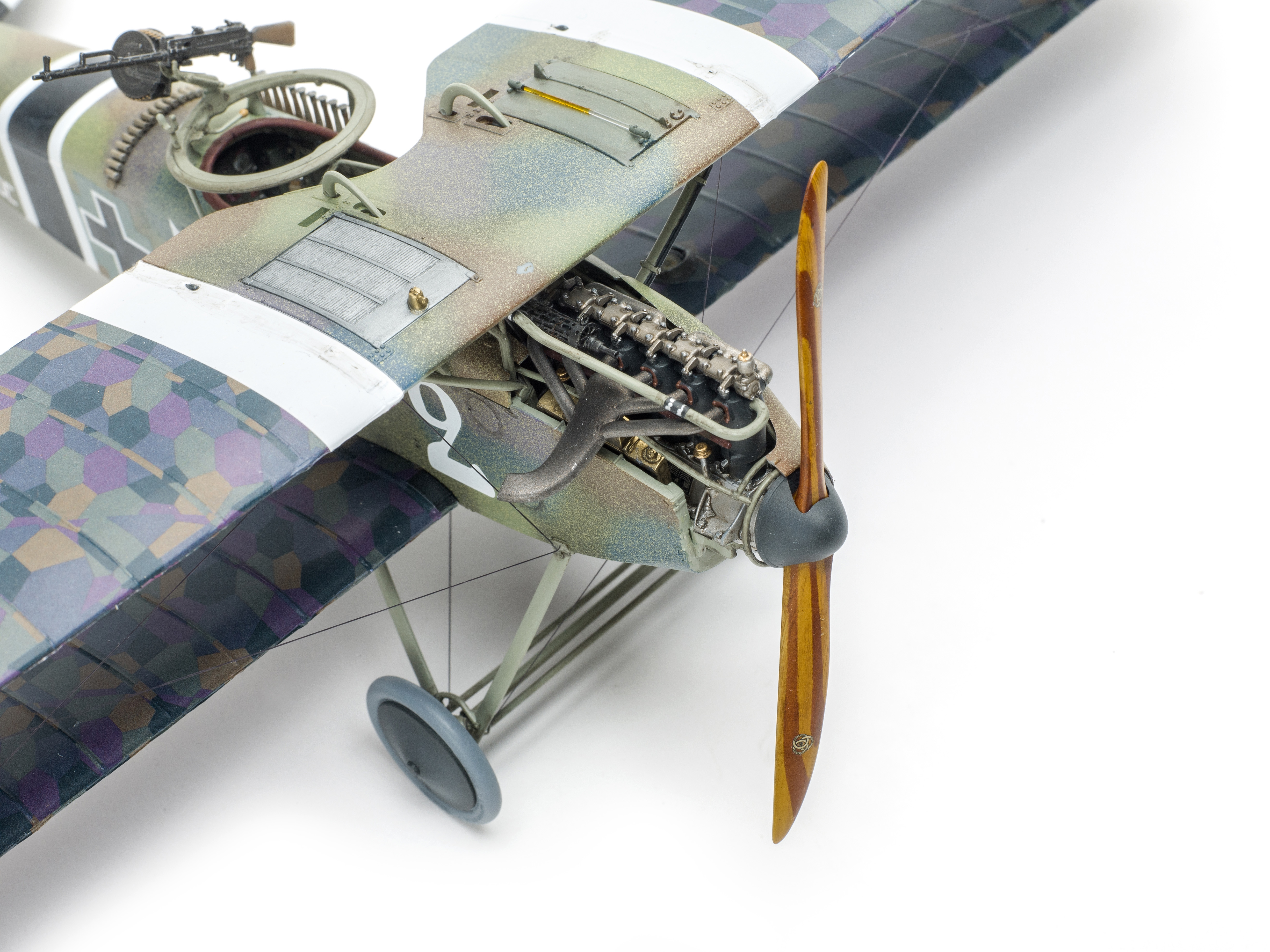 FSMWB0919_Wingnut_Halberstadt_CII_08