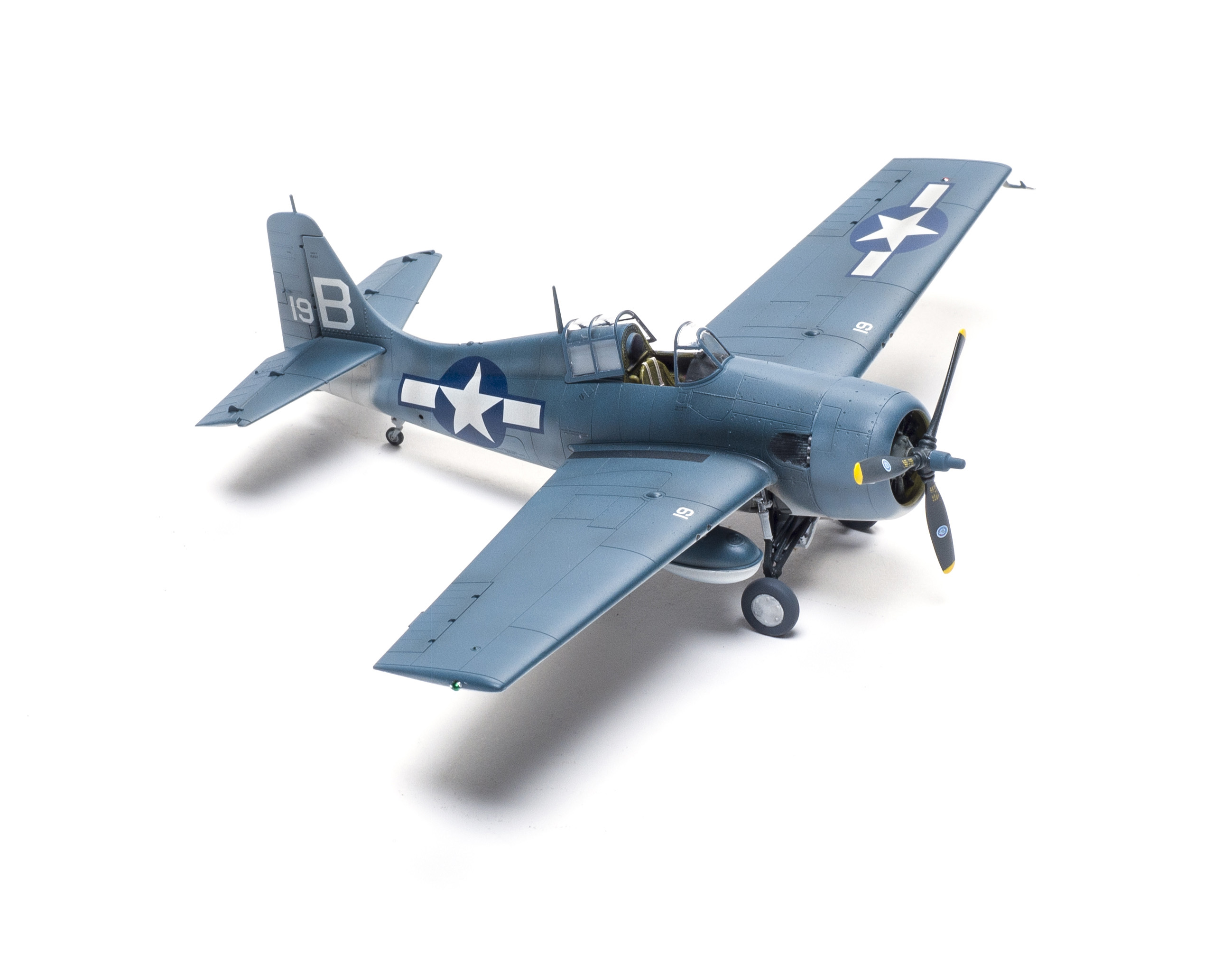 FSMWB1220_Arma_FM2_Wildcat_04