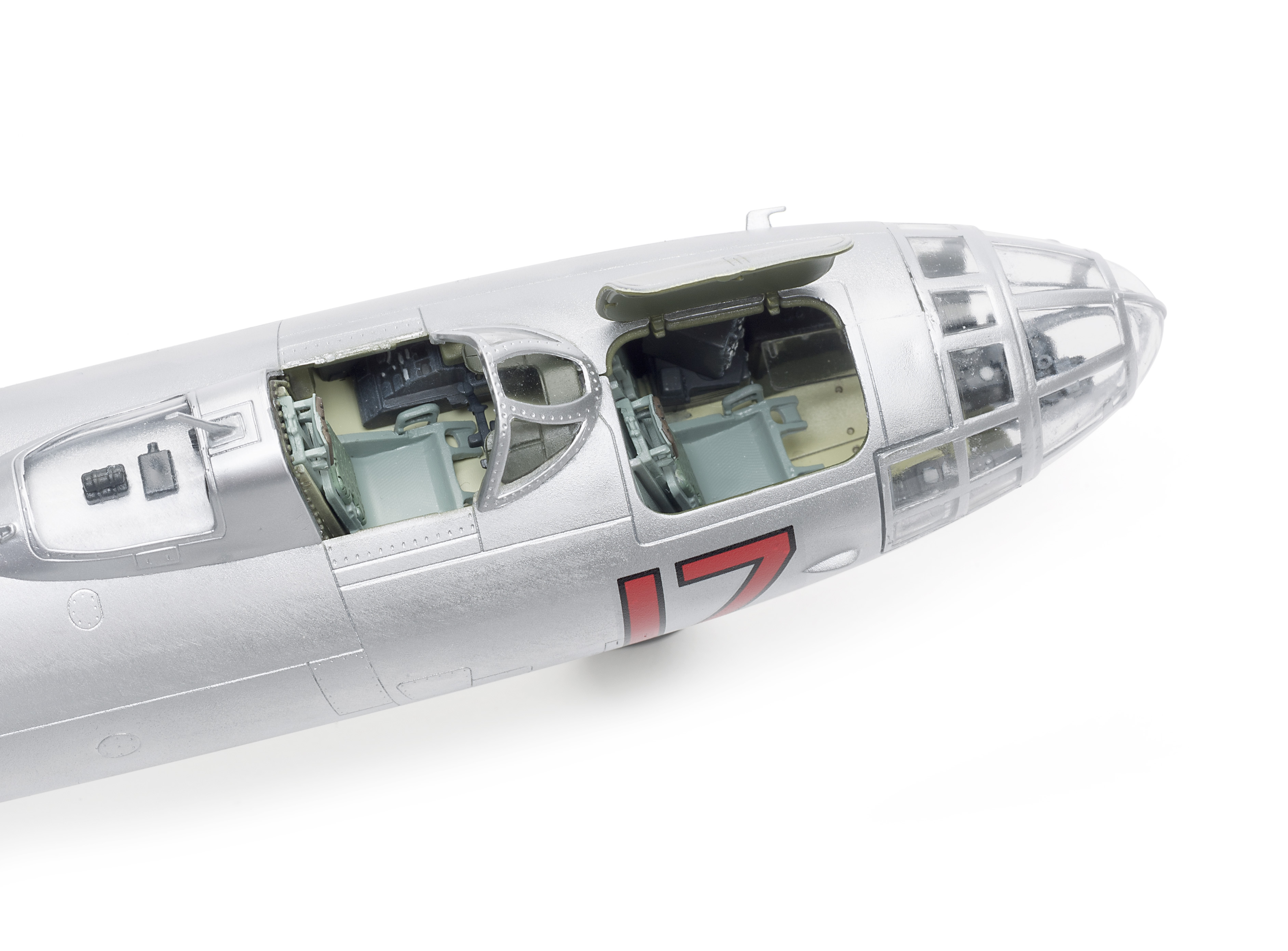 FSMWB0720_Bobcat_1128_Beagle_08