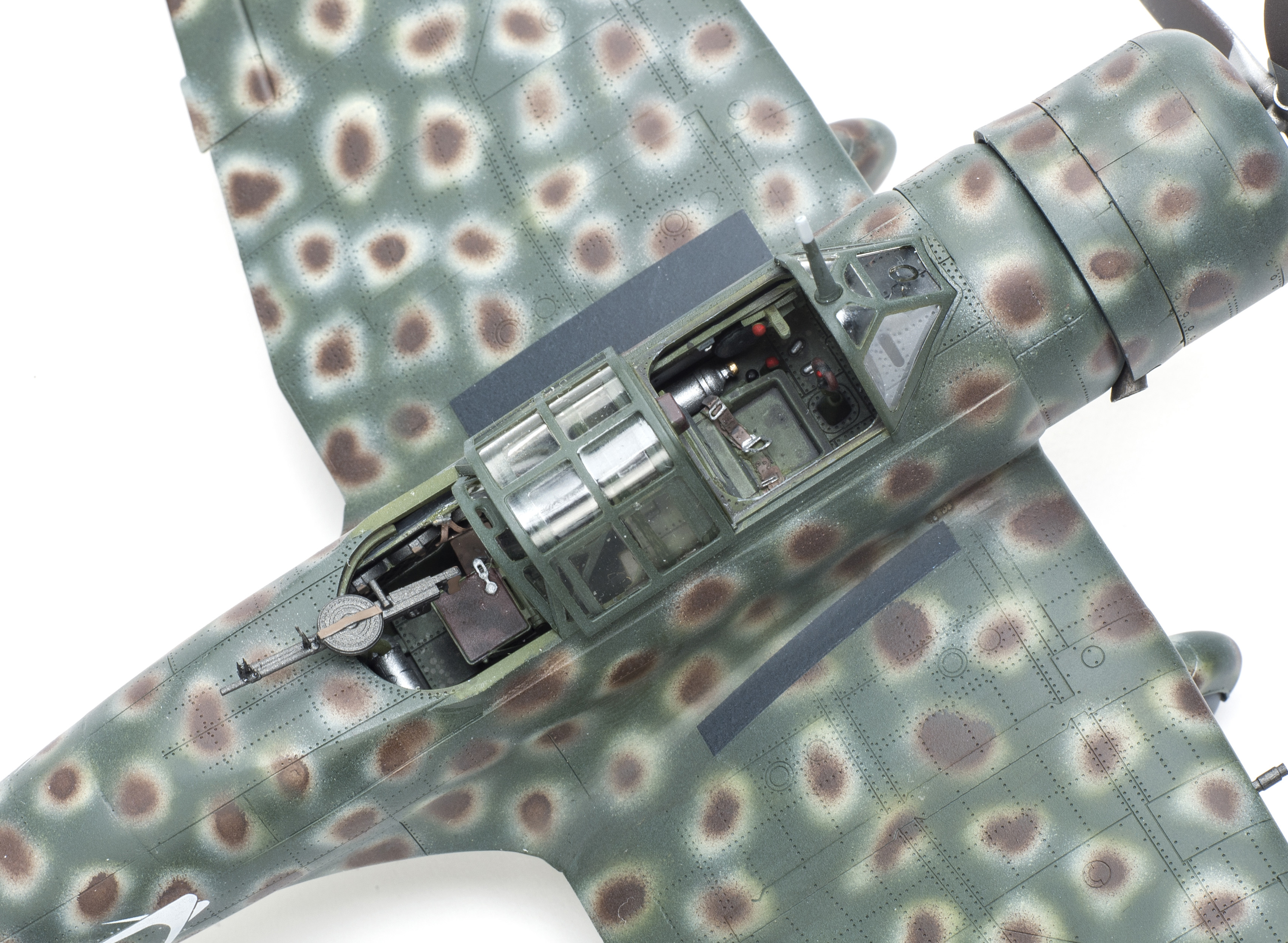 FSMWB0320_Wingsy_Ki51_Sonia_08