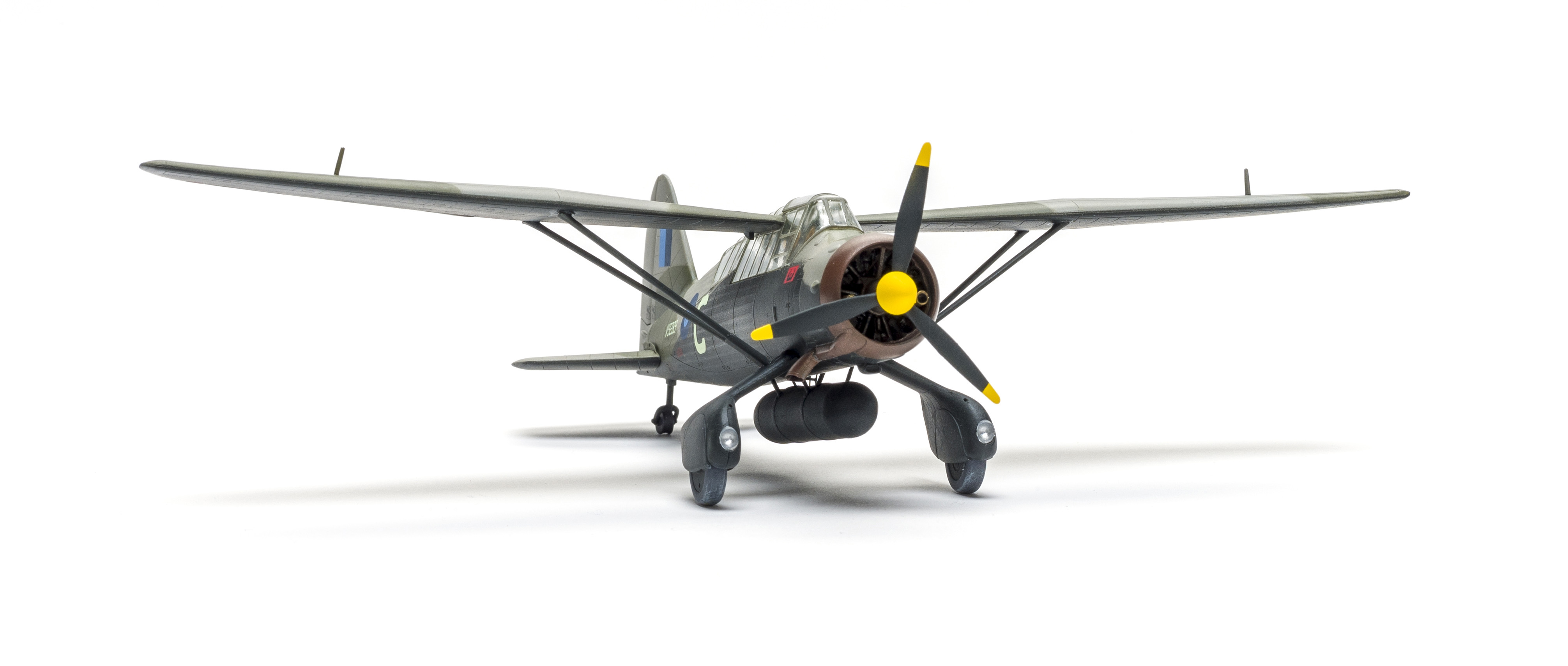 FSMWB0520_DoraWings_Lysnder_03