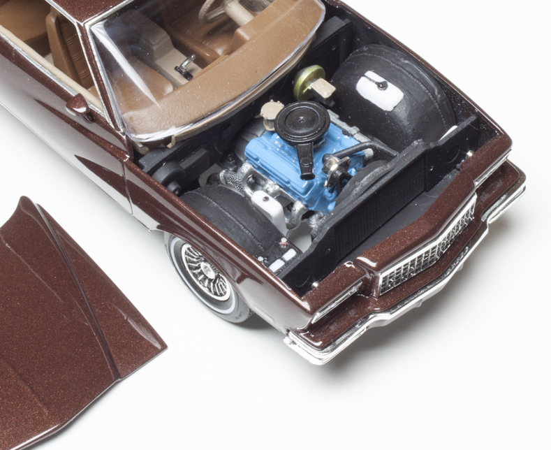 FSDWBI0323_06cropped