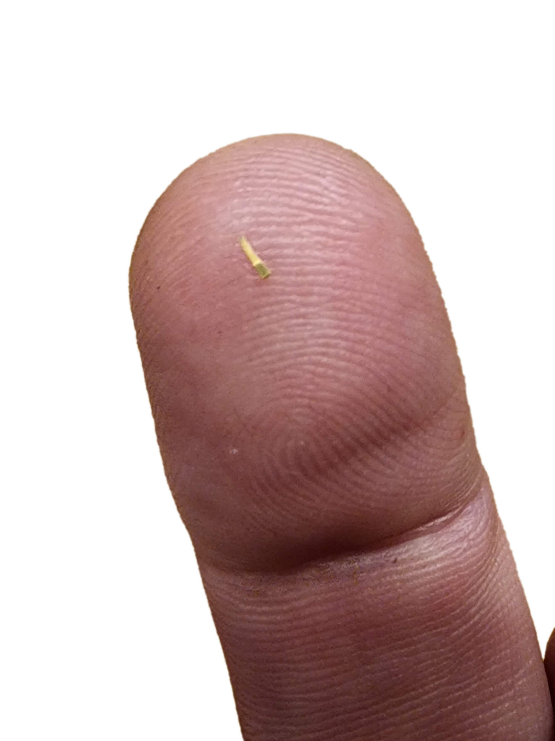 FSDWBF1123_09TinyPart